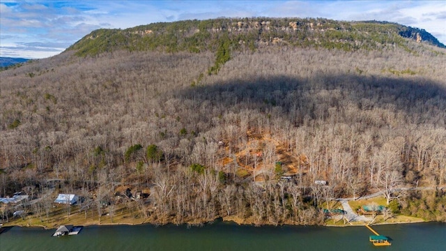 Listing photo 3 for 0 Mullins Cove Rd, Whitwell TN 37397