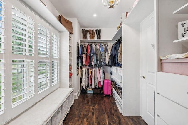 walk in closet featuring dark wood-type flooring