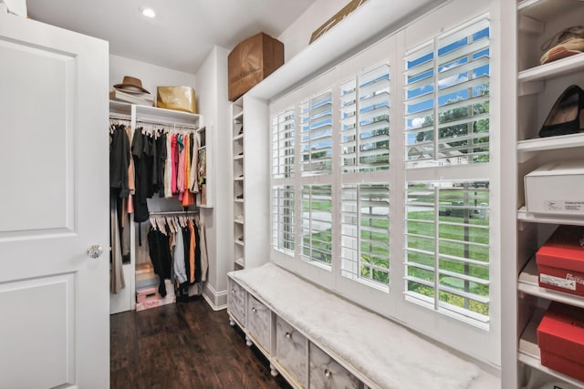 spacious closet with dark hardwood / wood-style flooring