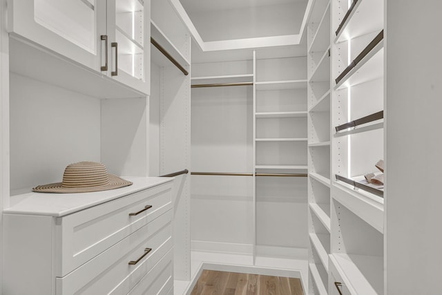 spacious closet with wood-type flooring