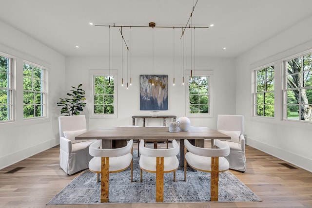 dining room with light hardwood / wood-style floors and a healthy amount of sunlight