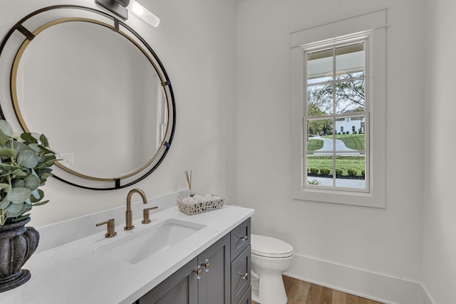 bathroom featuring toilet, vanity, and wood-type flooring