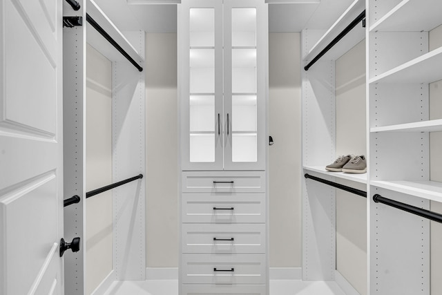 view of walk in closet