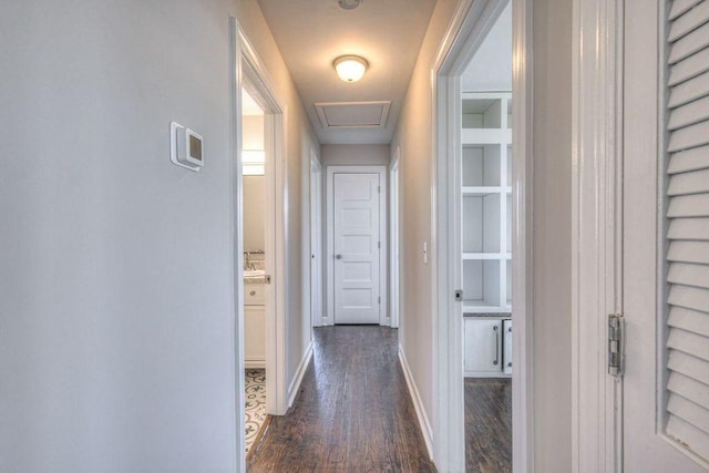 hall featuring dark wood-type flooring