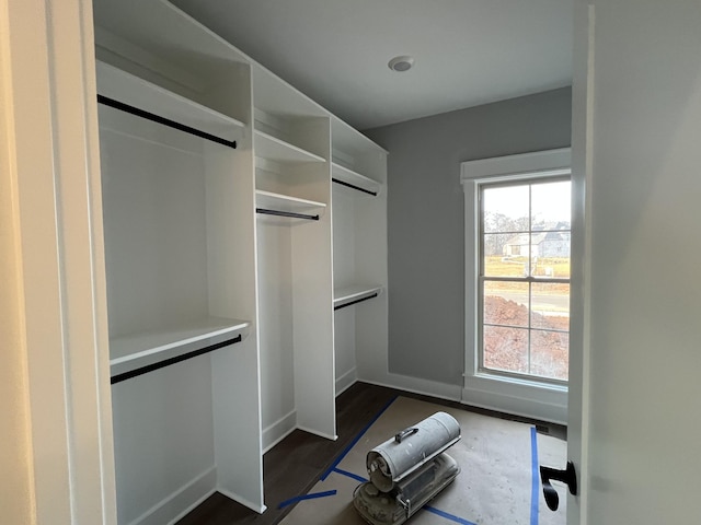 walk in closet featuring dark wood-type flooring