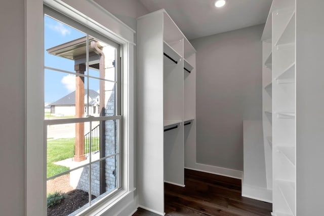 3025 Shady Forest Dr, Murfreesboro, TN 37128 - spacious closet featuring dark wood finished floors