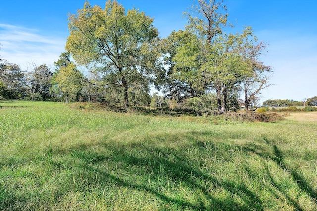 view of yard featuring a rural view