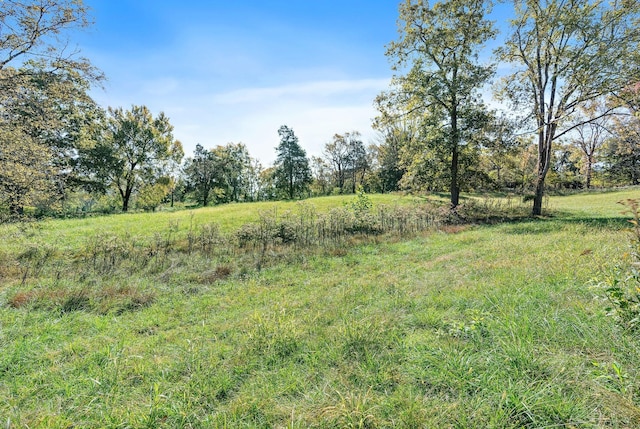 view of landscape