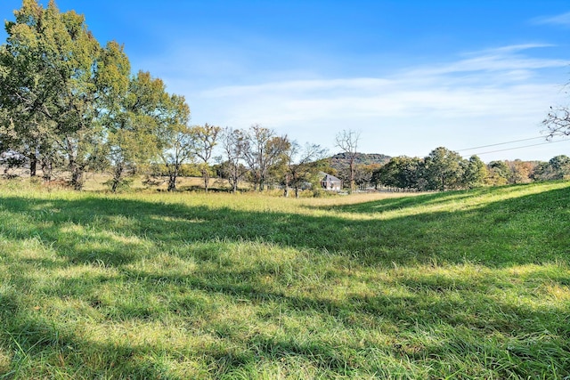 view of yard with a rural view