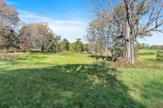 view of yard featuring a rural view