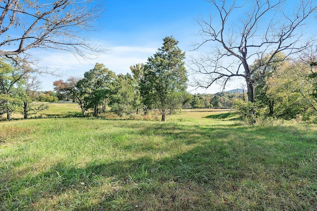 view of yard with a rural view