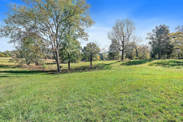 view of yard featuring a rural view