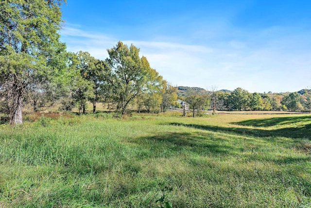 view of yard with a rural view