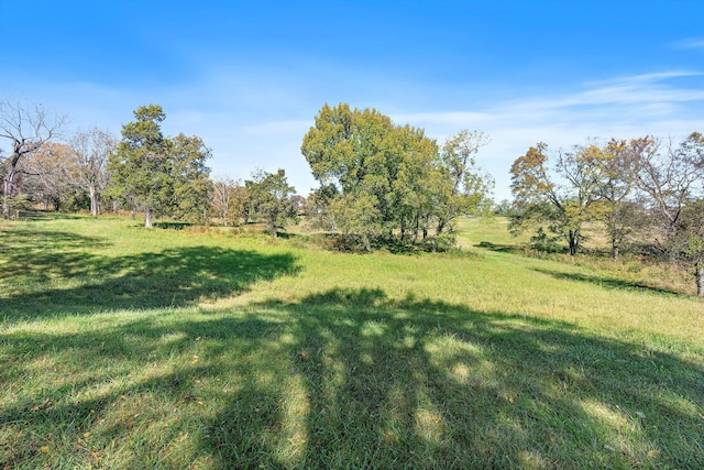 view of yard featuring a rural view