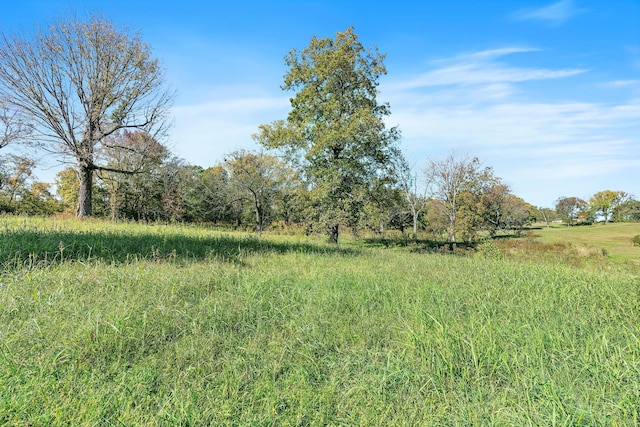 view of yard featuring a rural view