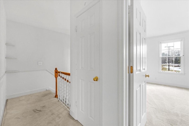 hallway featuring light colored carpet