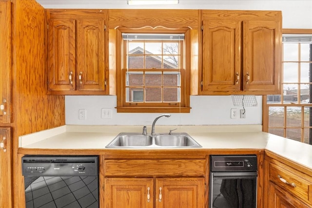 kitchen with dishwasher and sink