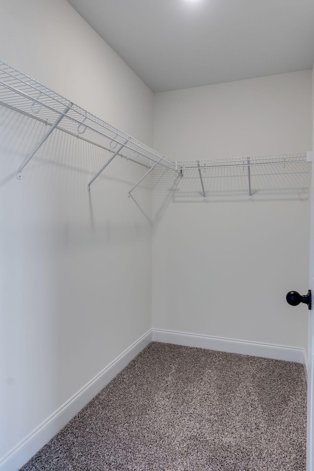 spacious closet with carpet