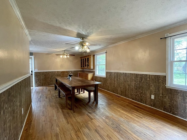 unfurnished dining area with a wealth of natural light, crown molding, a textured ceiling, and hardwood / wood-style floors