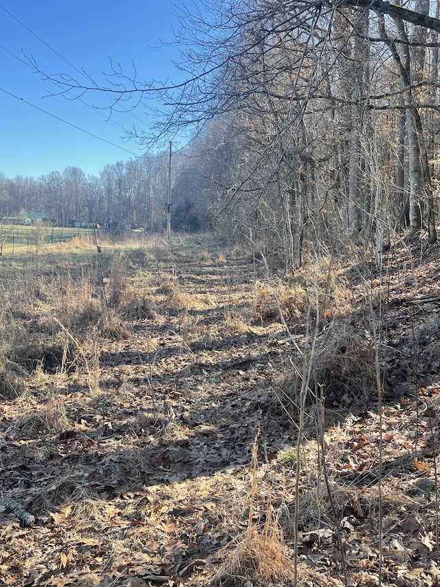 0 New Chapel Rd, Springfield TN, 37172 land for sale