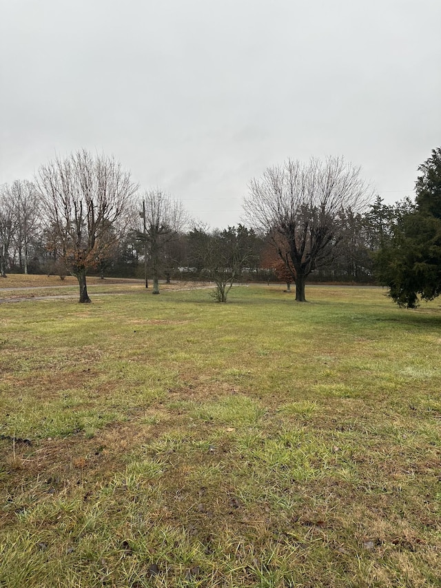 view of yard featuring a rural view