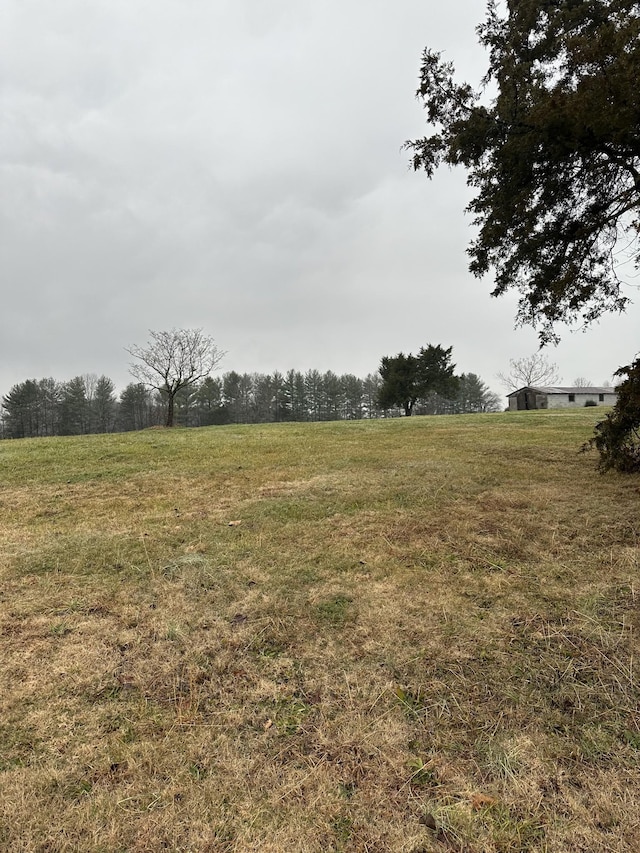 view of yard with a rural view