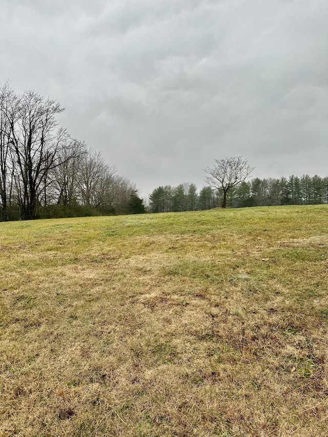 view of landscape featuring a rural view