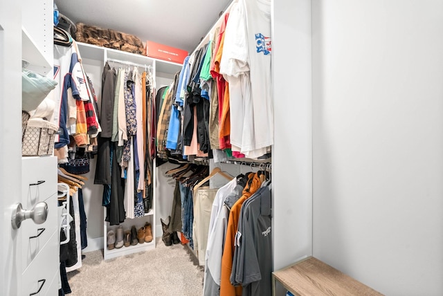 spacious closet with light carpet