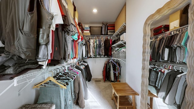 view of spacious closet