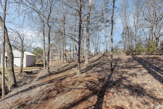 view of yard with an outbuilding