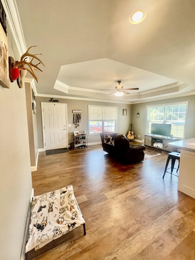 living room with ceiling fan, wood-type flooring, a tray ceiling, and crown molding