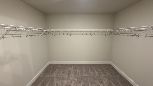 spacious closet with dark carpet