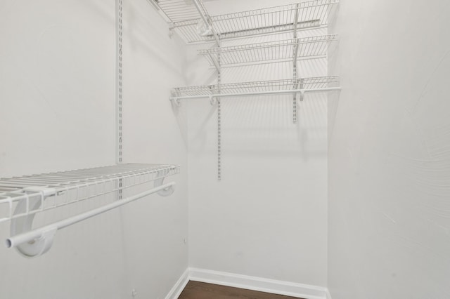 spacious closet featuring dark hardwood / wood-style flooring