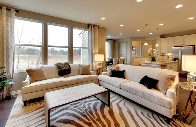 living room with dark hardwood / wood-style floors and sink