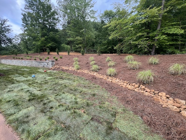 2089 Hudlow Loop Rd, Dunlap, TN 37327 - view of yard