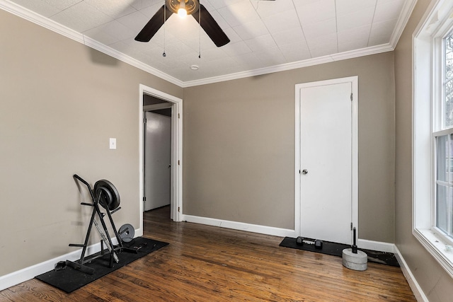 exercise room featuring ceiling fan, dark wood-type flooring, plenty of natural light, and ornamental molding