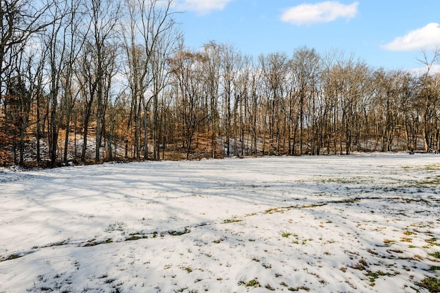 view of snowy yard