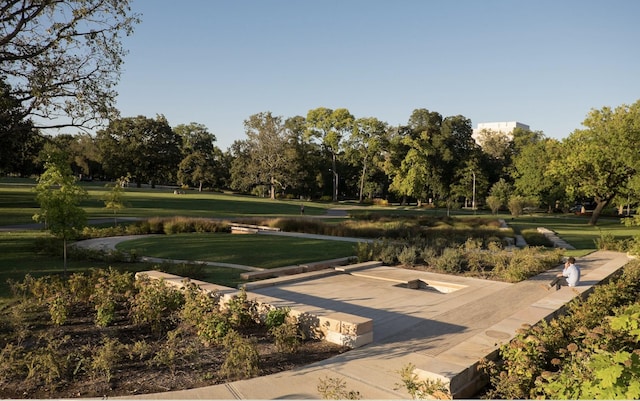 view of property's community with a yard