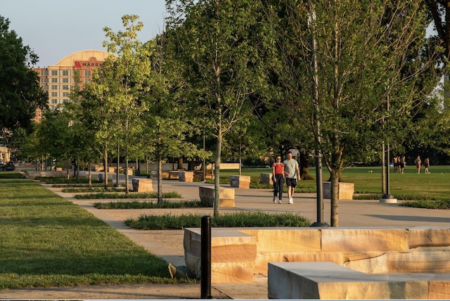 view of community featuring a lawn