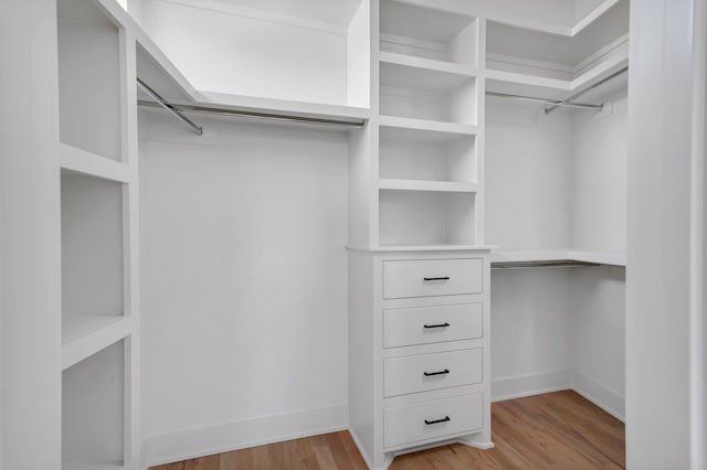 spacious closet featuring light hardwood / wood-style floors