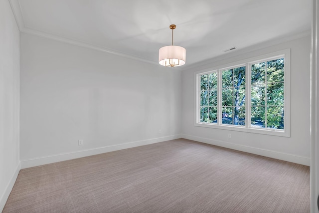 spare room with crown molding and carpet floors