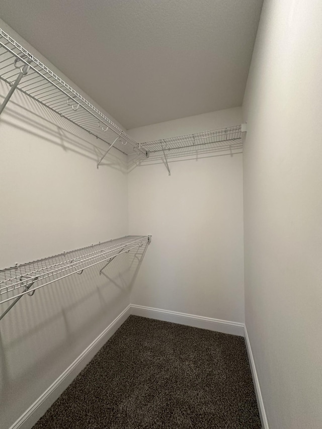 spacious closet featuring carpet