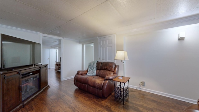 living room featuring dark hardwood / wood-style flooring