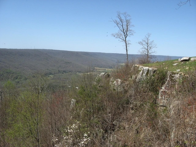 3945 Crockett Pointe, Jasper, TN 37347