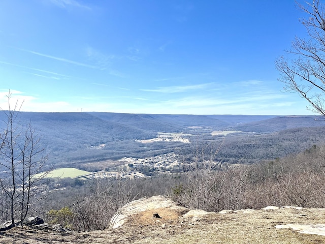 3945 Crockett Pointe, Jasper, TN 37347