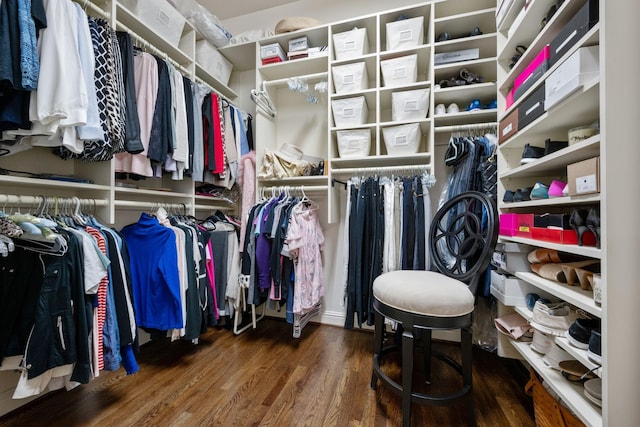 spacious closet with wood-type flooring