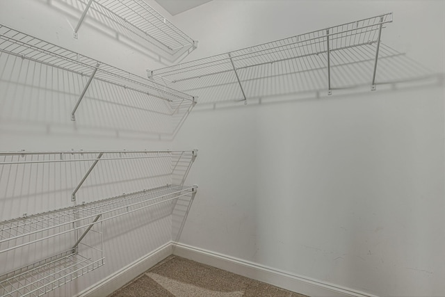 spacious closet with carpet