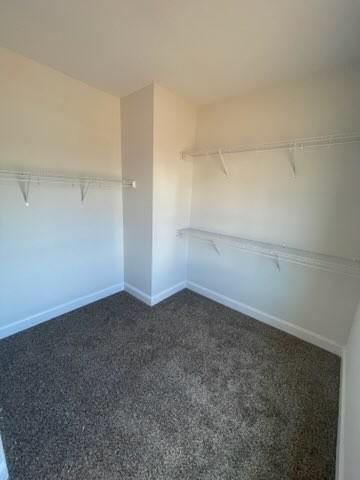 spacious closet featuring dark colored carpet