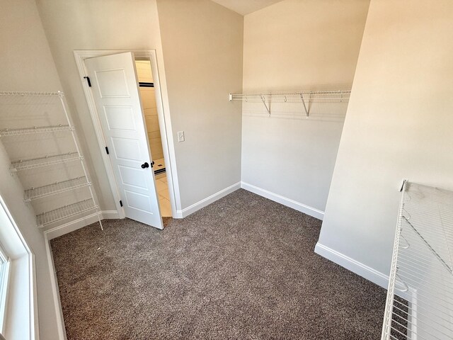308 Griffey Ests, Clarksville, TN 37042 - spacious closet with carpet flooring