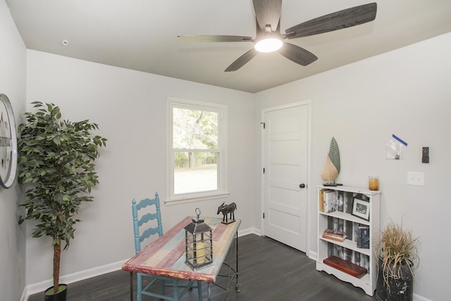 office area featuring dark hardwood / wood-style floors and ceiling fan